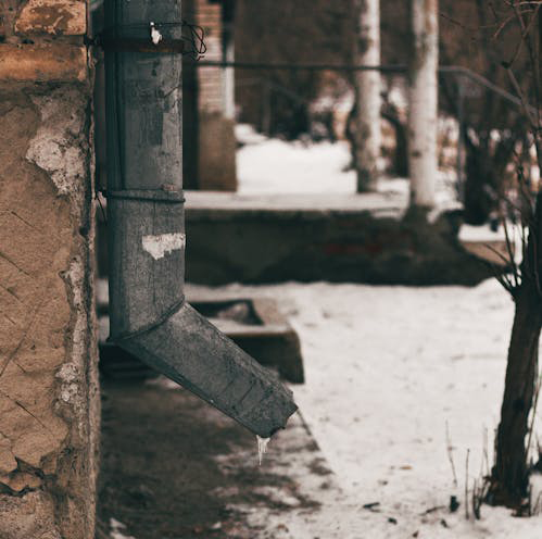 Early Bird Spring Booking