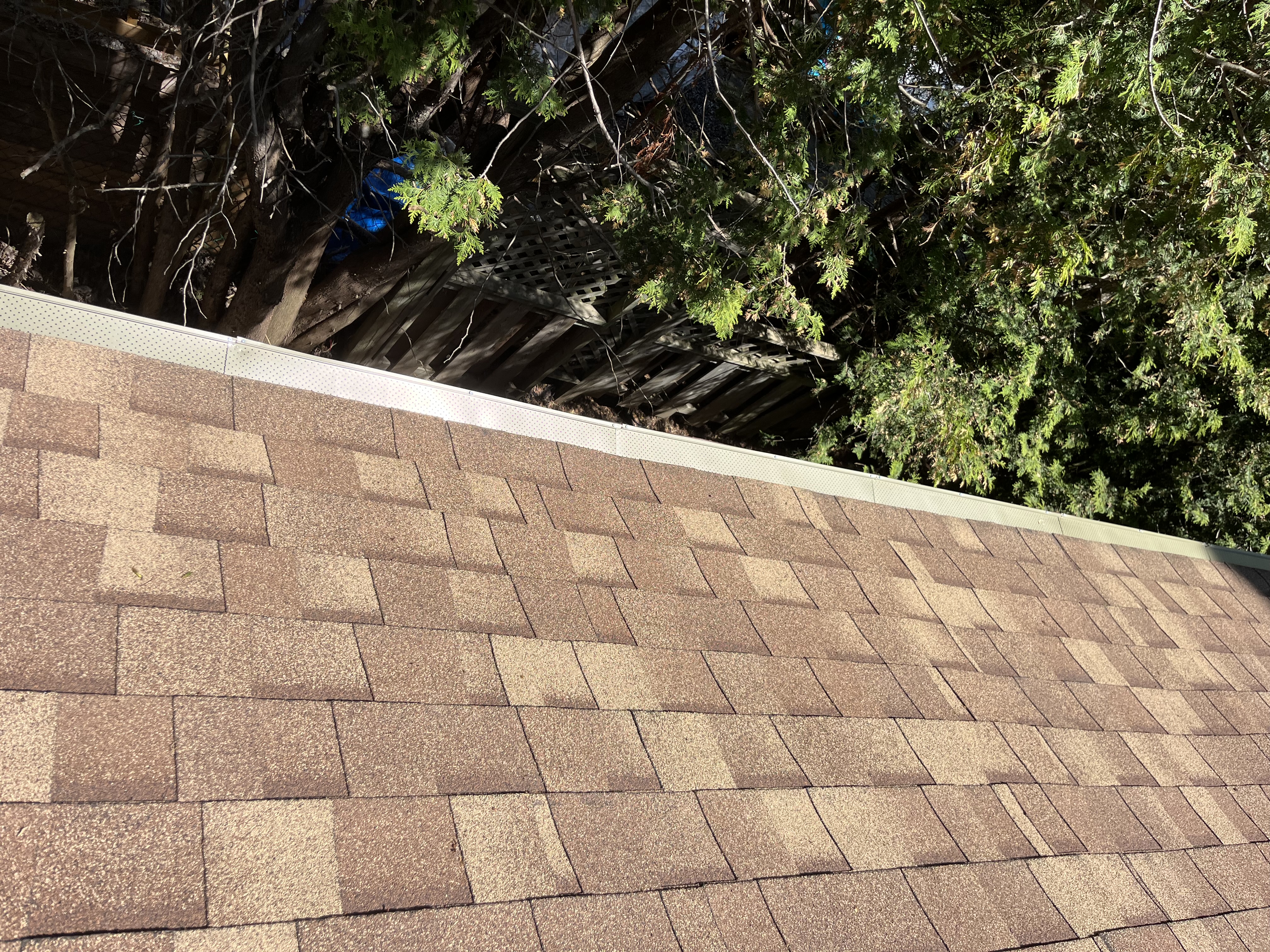 Shingle & guard closeup
